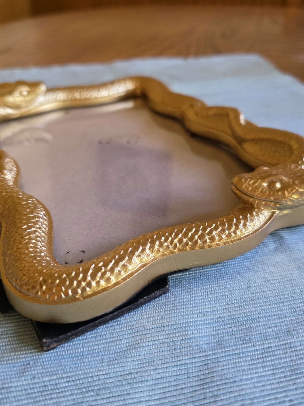 GOLD SNAKE Frame 5x7 Photo - Picture 3 of 16